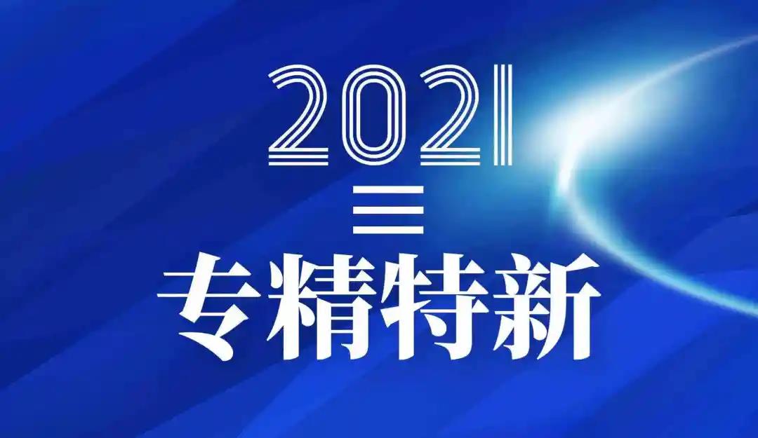 <b>关于下属子公司被认定为2021年浙江省“专精特新”中小企业公告</b>